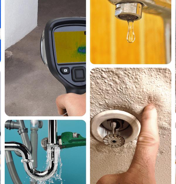 شركة كشف تسربات المياه في الكويت
